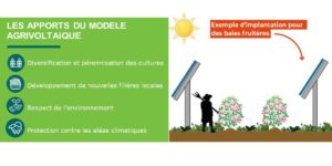 les apports du modèle agrivoltaïque